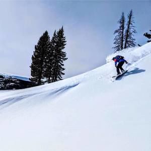 Meet your Posher, Rory